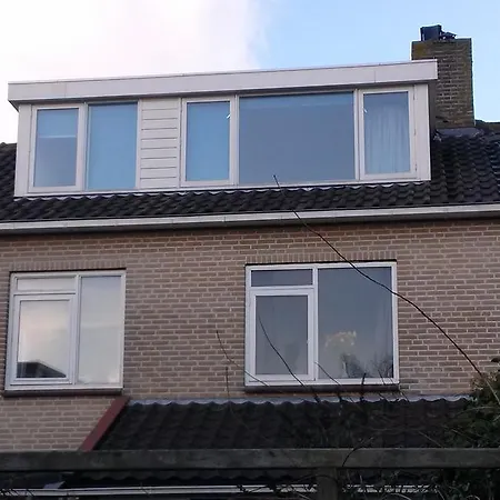 Duinroos